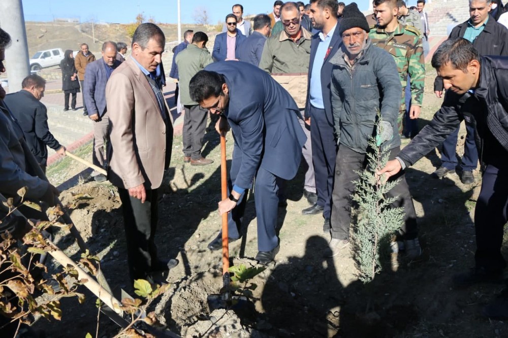 مشارکت دانشگاه سیدجمال الدین اسدآبادی در طرح کاشت یک میلیارد درخت  